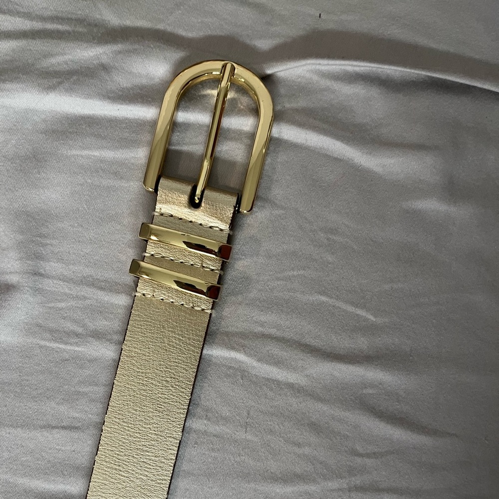 Wide Gold Belt with Gold Accents